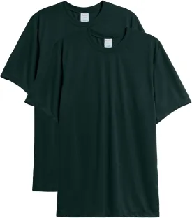 Hanes Men's Cool Dri Performance T-Shirt, Moisture-Wicking Short Sleeve Tee, 40  UPF Protection, 2 Or 5 Pack